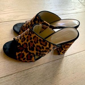 Ann Taylor leopard mule 5.5 (barely worn)